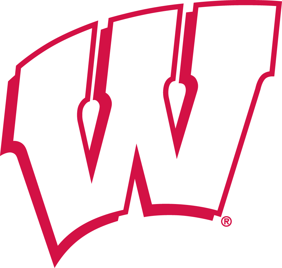Wisconsin Badgers 1991-2017 Alternate Logo DIY iron on transfer (heat transfer)